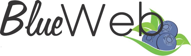 Blue Web Logo